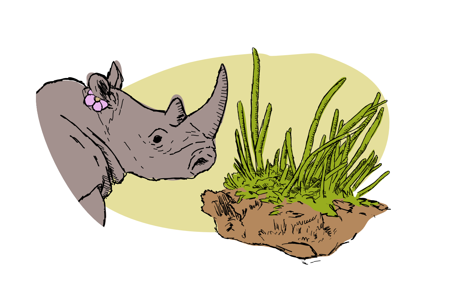 Rhinoceros and Anthoceros are two very different things