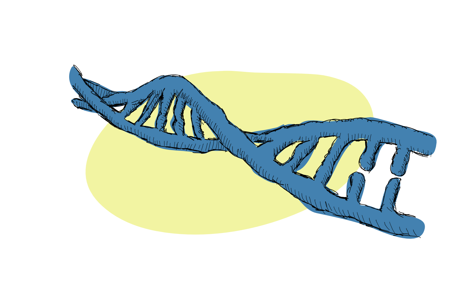 DNA sequencing – The Methods that Made us