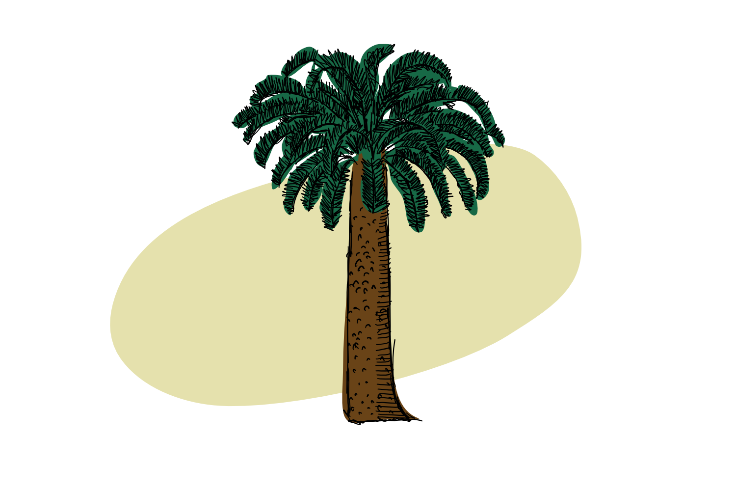 The Isolated Cycad
