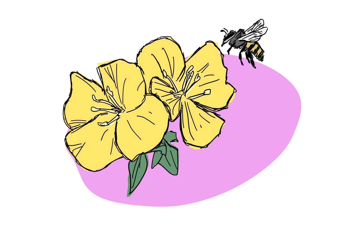 My bees bring all the sugar to the flower